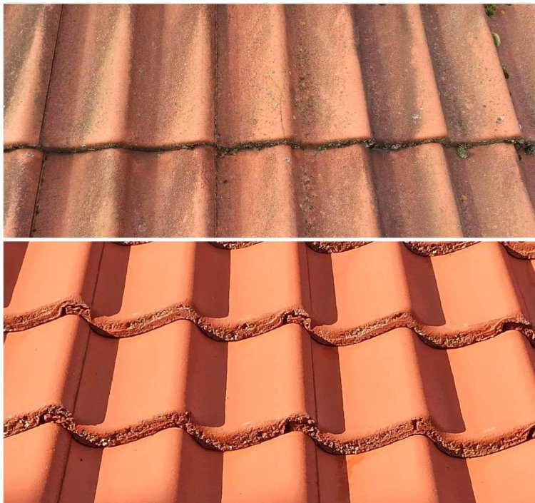 Zdjęcie artykułu Dlaczego należy usuwać zabrudzenia biologiczne z dachu?