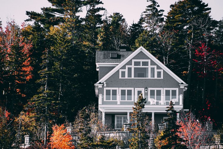 Dom na tle drzew jesienią