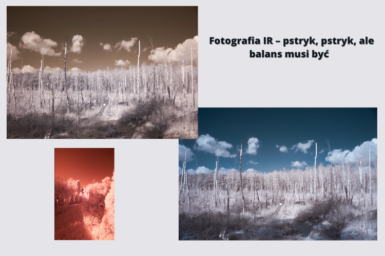 Fotografia IR – przykłady