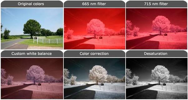 Fotografia podczerwieni – przykłady