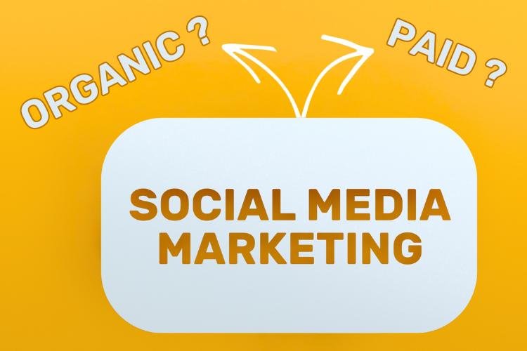 Marketing organiczny i płatny