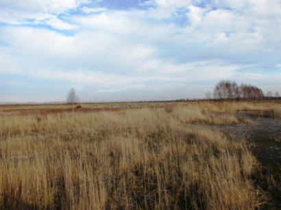 Rys. 2. Ogólny widok Składowiska Odpadów 