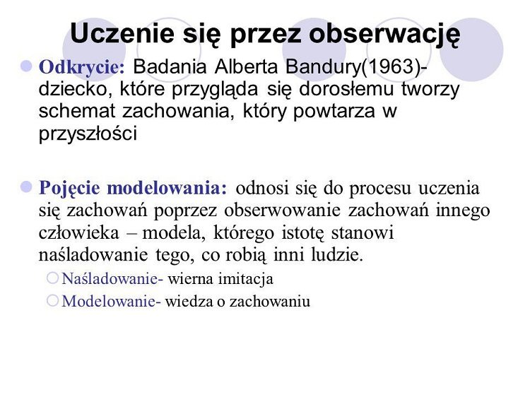 Zdjęcie nr 2