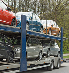 Jakie pojazdy najczęściej przywożą do Polski firmy transportowe?